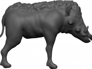 Warthog 3D Model