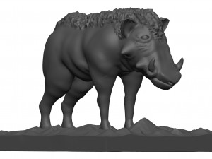 Warthog 3D Model