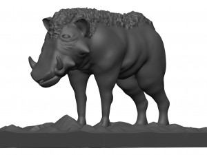 Warthog 3D Model