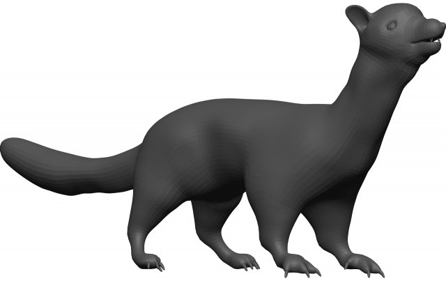 Weasle 3D 模型 .c4d .max .obj .3ds .fbx .stl .blend 