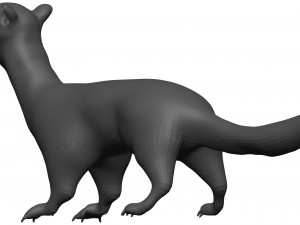 Weasle 3D 模型
