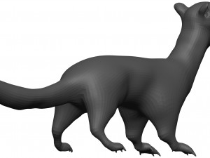 Weasle 3D 模型