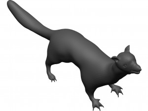 Weasle 3D 模型