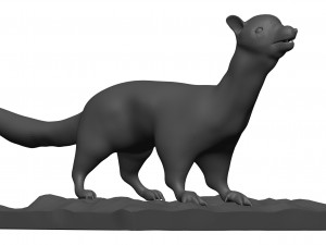 Weasle 3D 模型