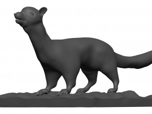 Weasle 3D 模型