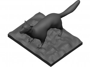 Weasle 3D 模型