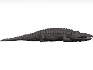 Alligator Model Cetak 3D