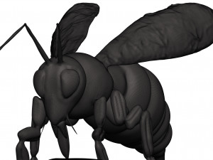 Bee Model Cetak 3D