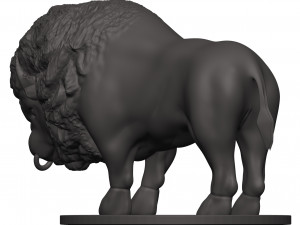 Bison 3D 프린트 모델