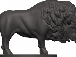 Bison 3D 프린트 모델
