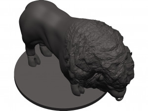 Bison 3D 프린트 모델