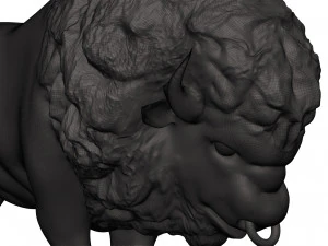 Bison 3D Print Model