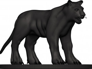 Black leopard Modèles 3D en vedette
