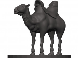 Camel Modèles 3D en vedette