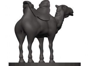 Camel Modèles 3D en vedette