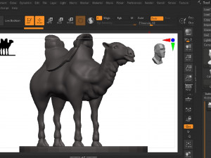 Camel Modèles 3D en vedette