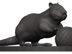 Chipmunk 3D Print Model