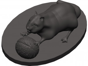 Chipmunk 3D Print Model
