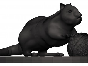 Chipmunk 3D Print Model