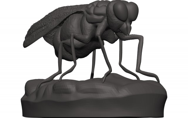 Fly 3D-Druckmodell .c4d .max .obj .3ds .fbx .stl .blend 