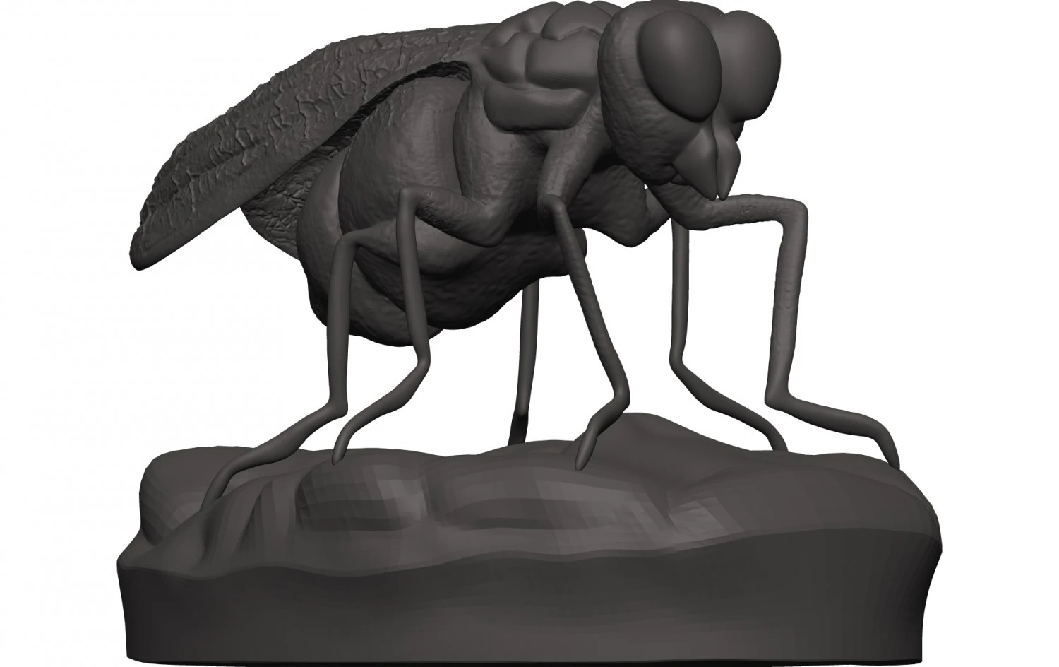 Fly 3D Print Model .c4d .max .obj .3ds .fbx .stl .blend 