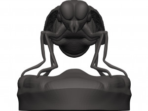Fly 3D-Druckmodell