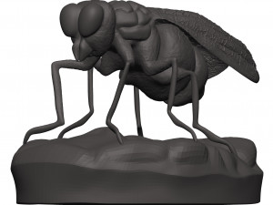 Fly 3D-Druckmodell