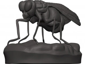 Fly 3D Print Model