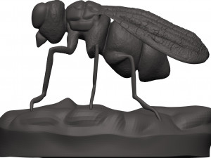 Fly 3D-Druckmodell