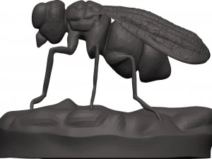 Fly 3D Print Model