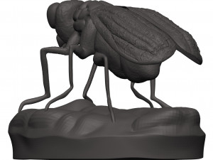 Fly 3D-Druckmodell