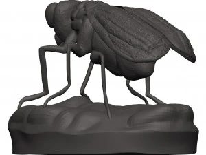 Fly 3D Print Model