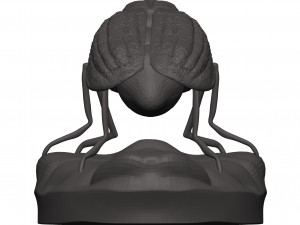 Fly 3D-Druckmodell