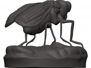 Fly 3D-Druckmodell