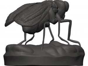 Fly 3D Print Model
