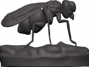 Fly 3D-Druckmodell