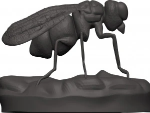 Fly 3D Print Model