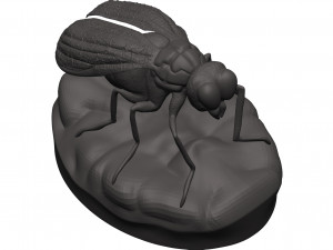 Fly 3D-Druckmodell