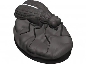 Fly 3D Print Model