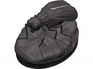 Fly 3D-Druckmodell