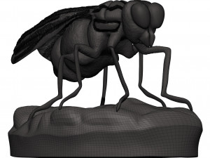 Fly 3D-Druckmodell