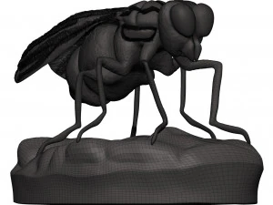 Fly 3D Print Model