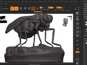 Fly 3D Print Model