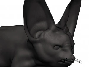 Fox 3D Print Model