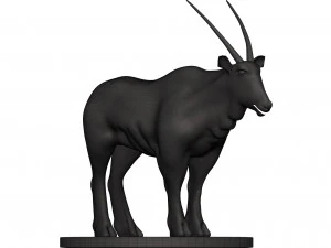Gemsbok 3D Print Model
