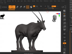 Gemsbok 3D Print Model