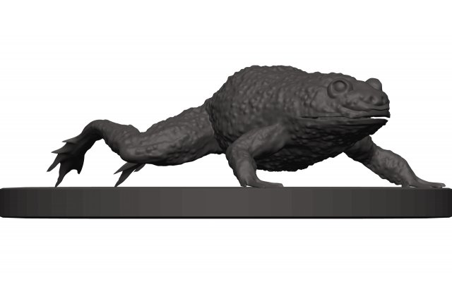 Bullfrog Modello di stampa 3D .c4d .max .obj .3ds .fbx .stl .blend 