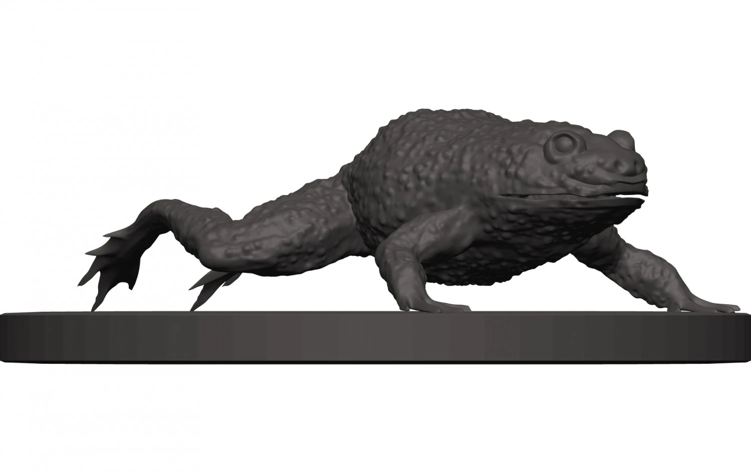 Bullfrog 3D Print Model .c4d .max .obj .3ds .fbx .stl .blend 
