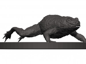 Bullfrog 3D-printmodel