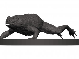 Bullfrog Modello di stampa 3D